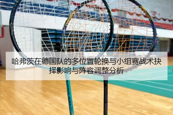 ha-fu-ci-zai-de-guo-dui-de-duo-wei-zhi-lun-huan-yu-xiao-zu-sai-zhan-shu-jue-ze-ying-xiang-yu-zhen-rong-tiao-zheng-fen-xi-2-138.jpg