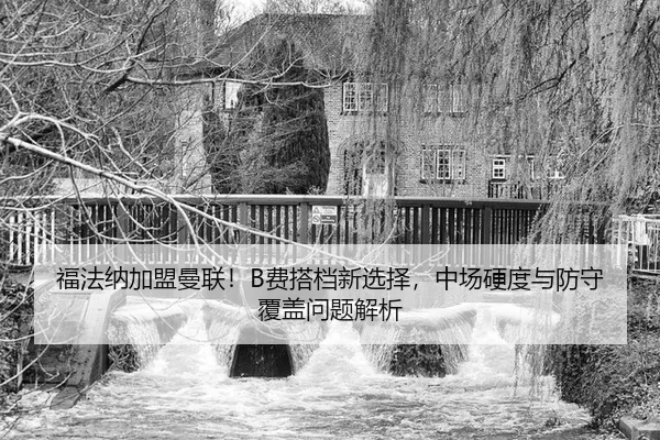 fu-fa-na-jia-meng-man-lian-fei-da-dang-xin-xuan-ze-zhong-chang-ying-du-yu-fang-shou-fu-gai-wen-ti-jie-xi-2-910.jpg